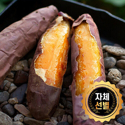 섬네일이미지