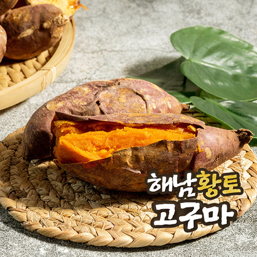 섬네일이미지