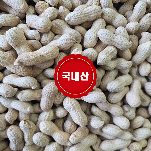 섬네일이미지