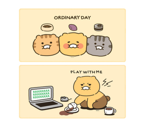 섬네일이미지