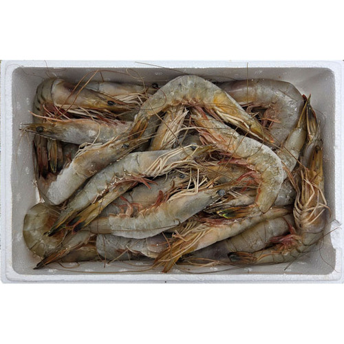 섬네일이미지