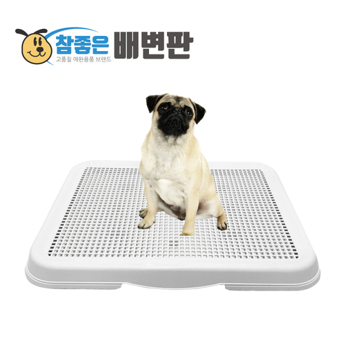 섬네일이미지