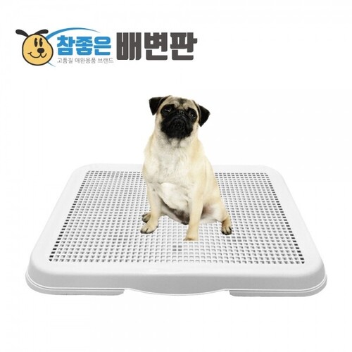 섬네일이미지