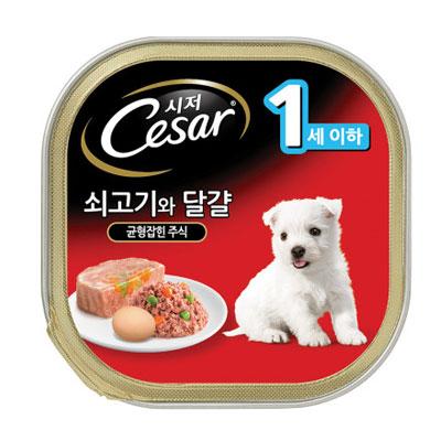 섬네일이미지