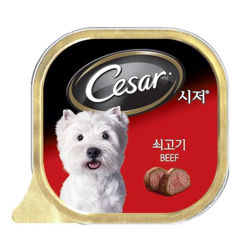 섬네일이미지