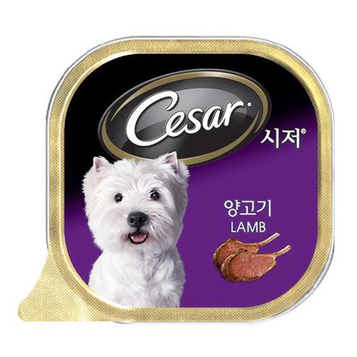 섬네일이미지
