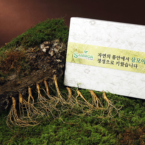 섬네일이미지