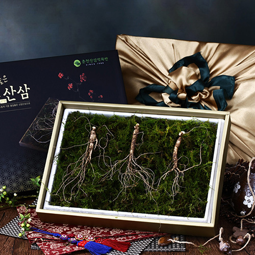 섬네일이미지