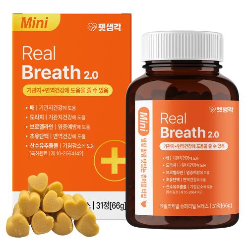 섬네일이미지