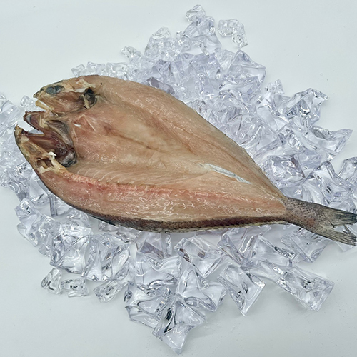 섬네일이미지