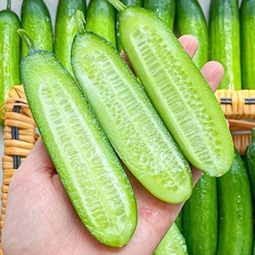 섬네일이미지