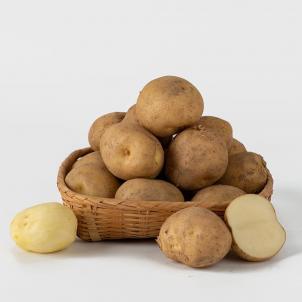 상품썸네일