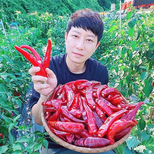 섬네일이미지