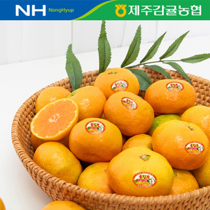 상품썸네일