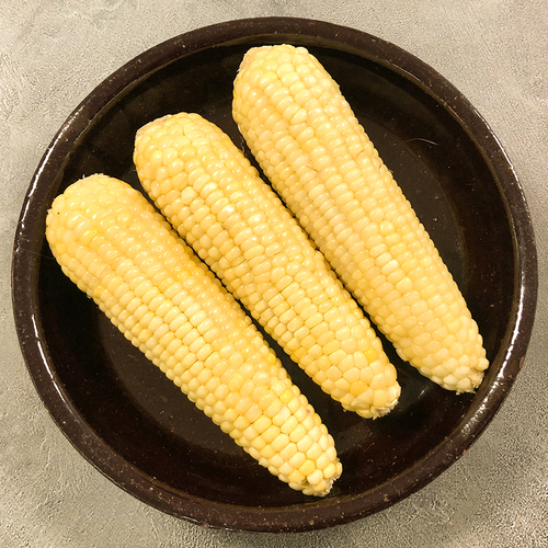 섬네일이미지