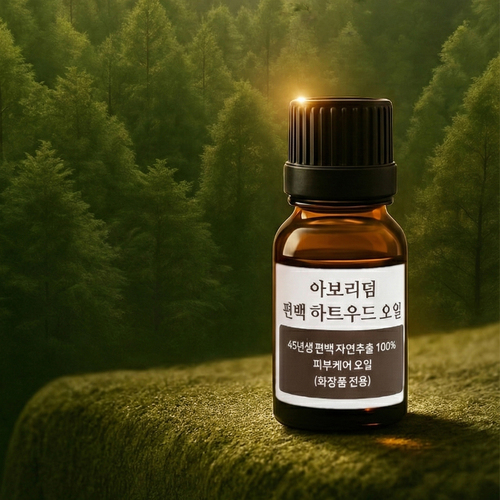 섬네일이미지