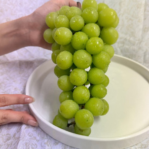 상품썸네일
