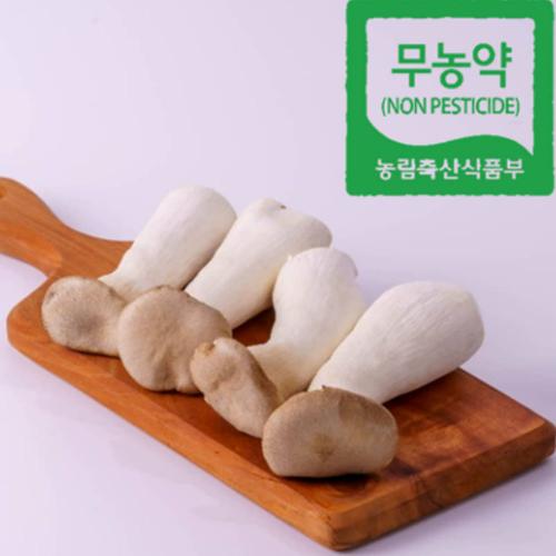 섬네일이미지