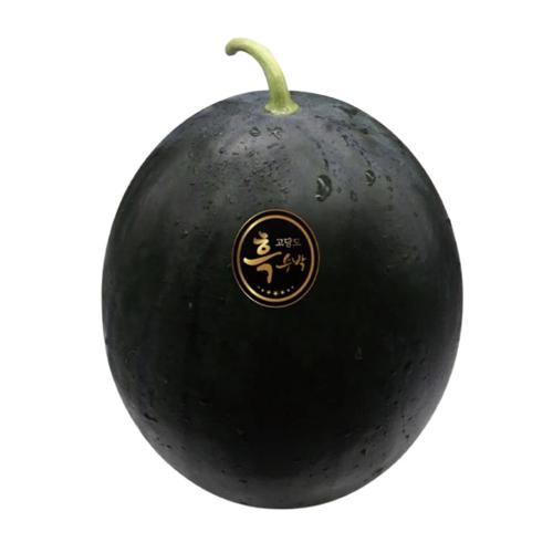 섬네일이미지