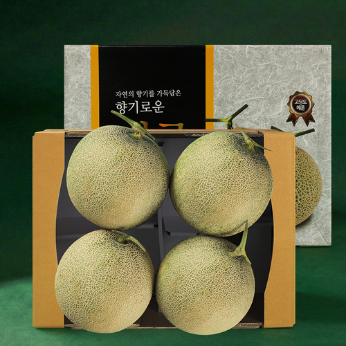 섬네일이미지