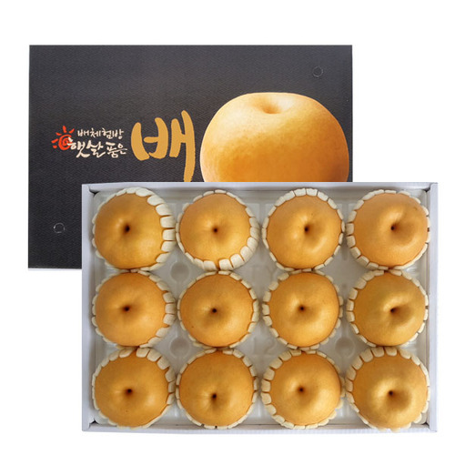 섬네일이미지
