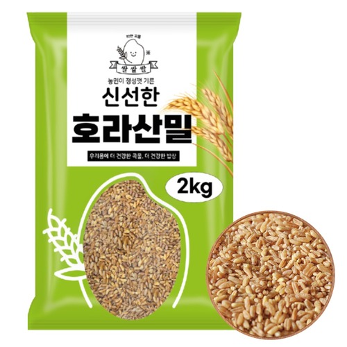 섬네일이미지