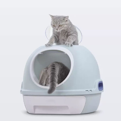 섬네일이미지