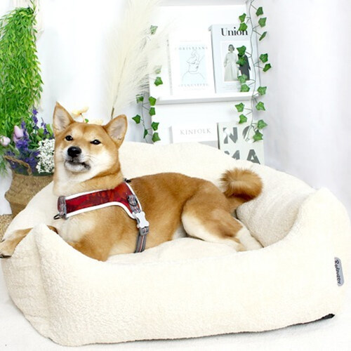섬네일이미지