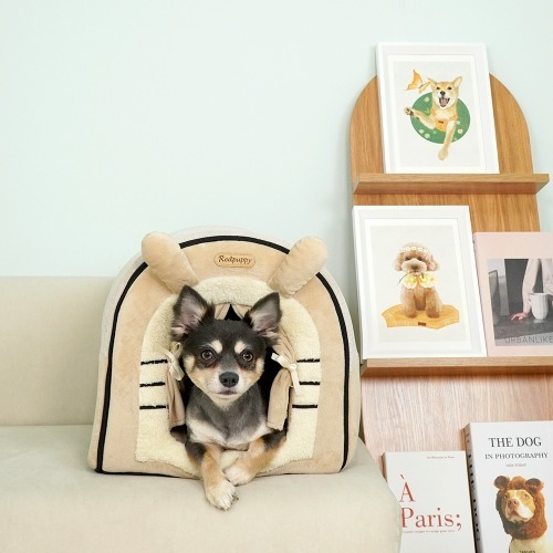 섬네일이미지