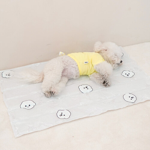 섬네일이미지