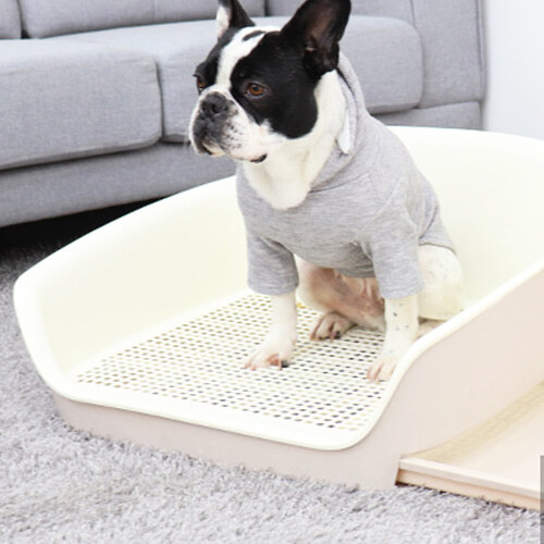 섬네일이미지
