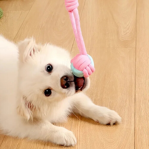 섬네일이미지