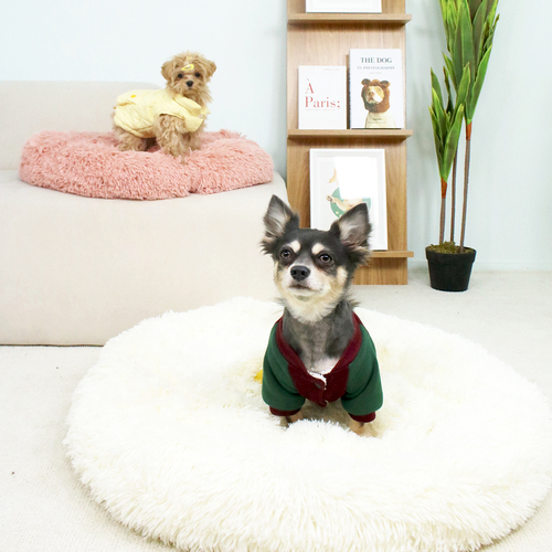 섬네일이미지