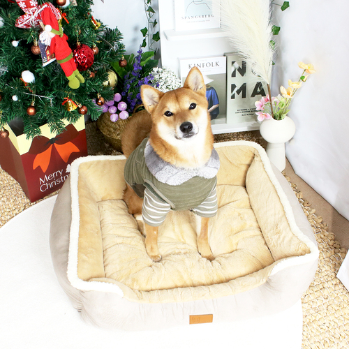 섬네일이미지