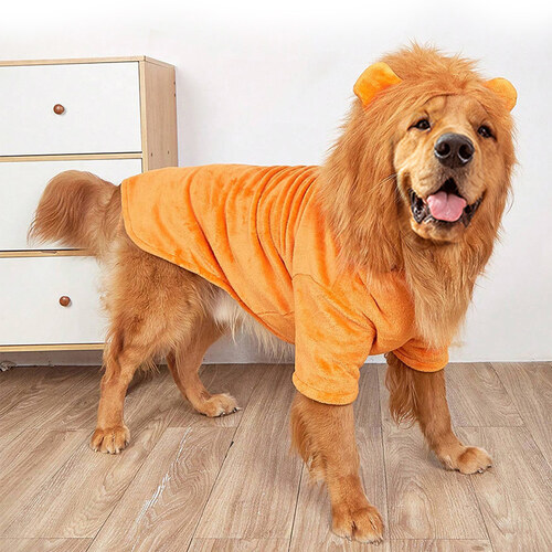 섬네일이미지