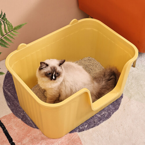 섬네일이미지