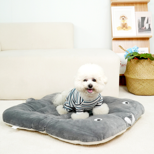 섬네일이미지