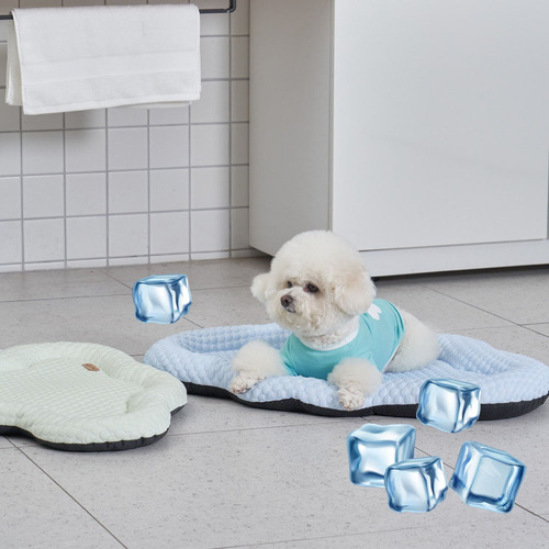 섬네일이미지