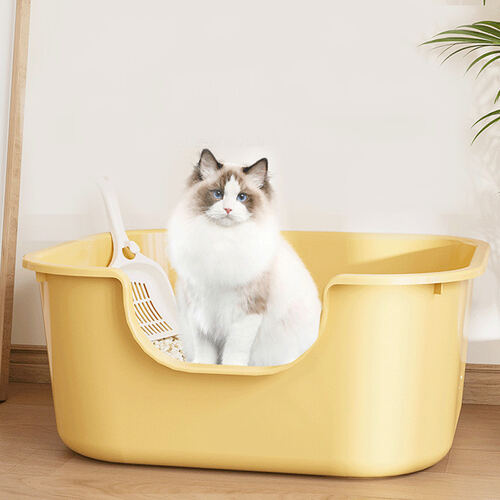 섬네일이미지