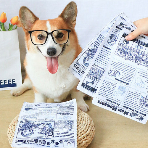 섬네일이미지