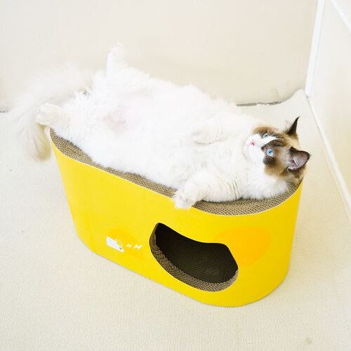섬네일이미지
