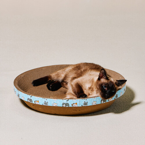섬네일이미지