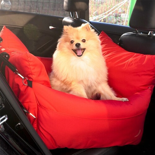 섬네일이미지