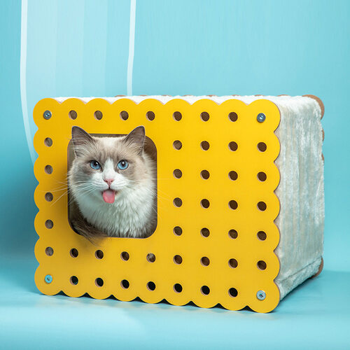 섬네일이미지