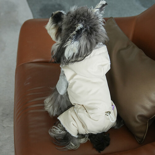 섬네일이미지