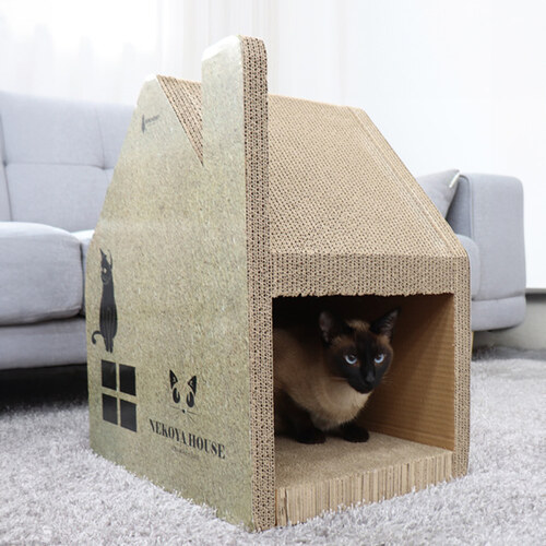 섬네일이미지