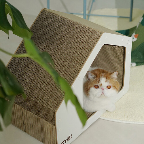 섬네일이미지