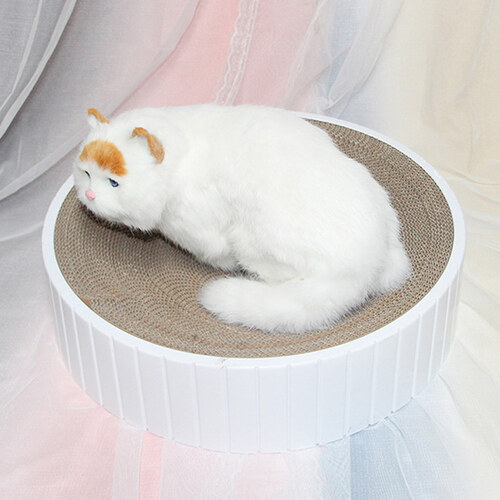섬네일이미지
