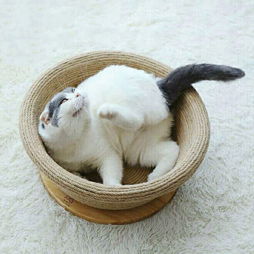 섬네일이미지