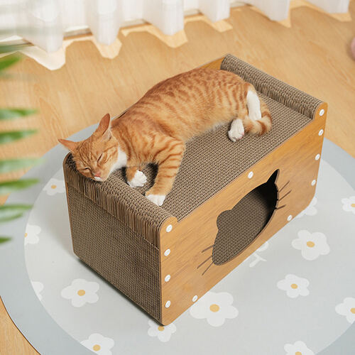 섬네일이미지